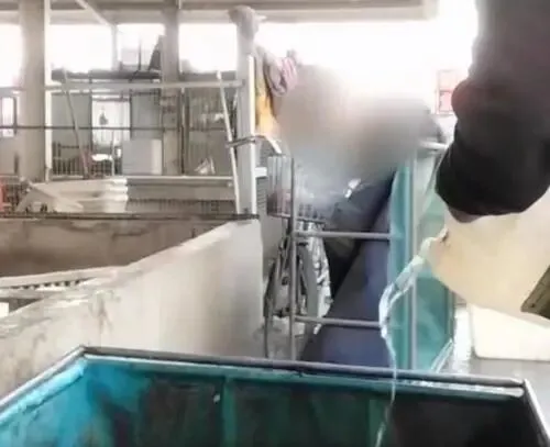 央视曝光!这种“假活鱼”流入市场,伤肝只是开始,很多人还在吃