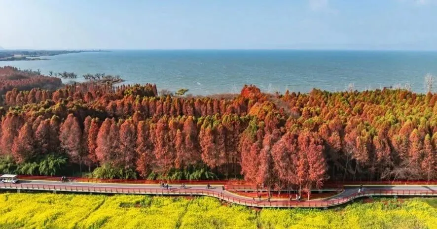 昆明新房市场3月小阳春稳了!