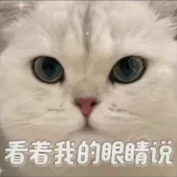 德国外企·西门子重仓中国市场,官宣校招扩招!月薪13-21k、955双休、居家办公!无笔试,速发Offer!