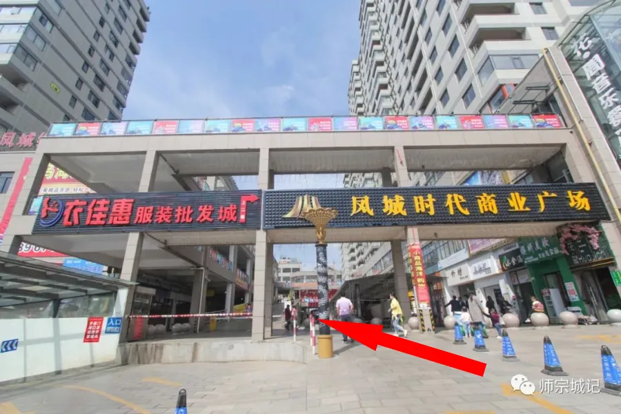 师宗市场上这12种菌,你吃过几种?