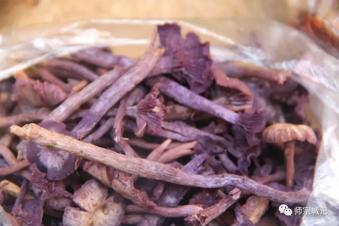 师宗市场上这12种菌,你吃过几种?