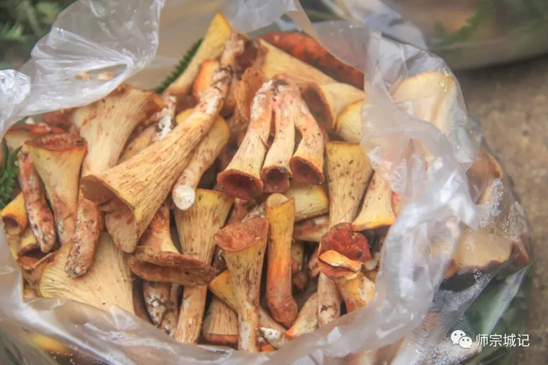 师宗市场上这12种菌,你吃过几种?