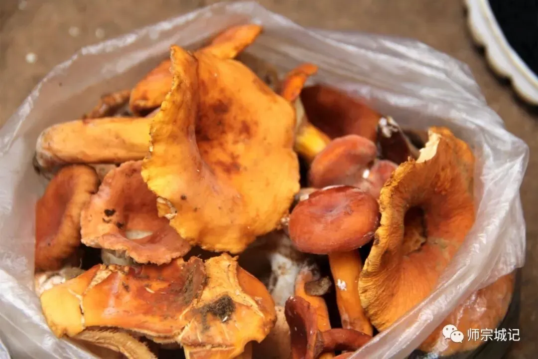师宗市场上这12种菌,你吃过几种?