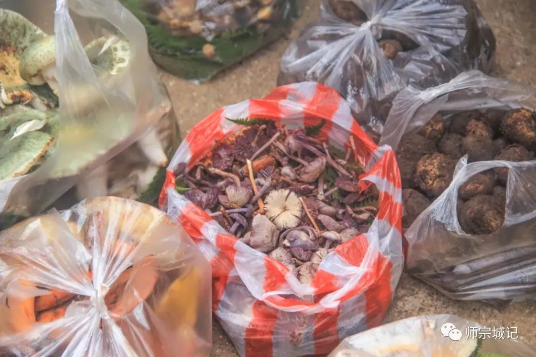 师宗市场上这12种菌,你吃过几种?
