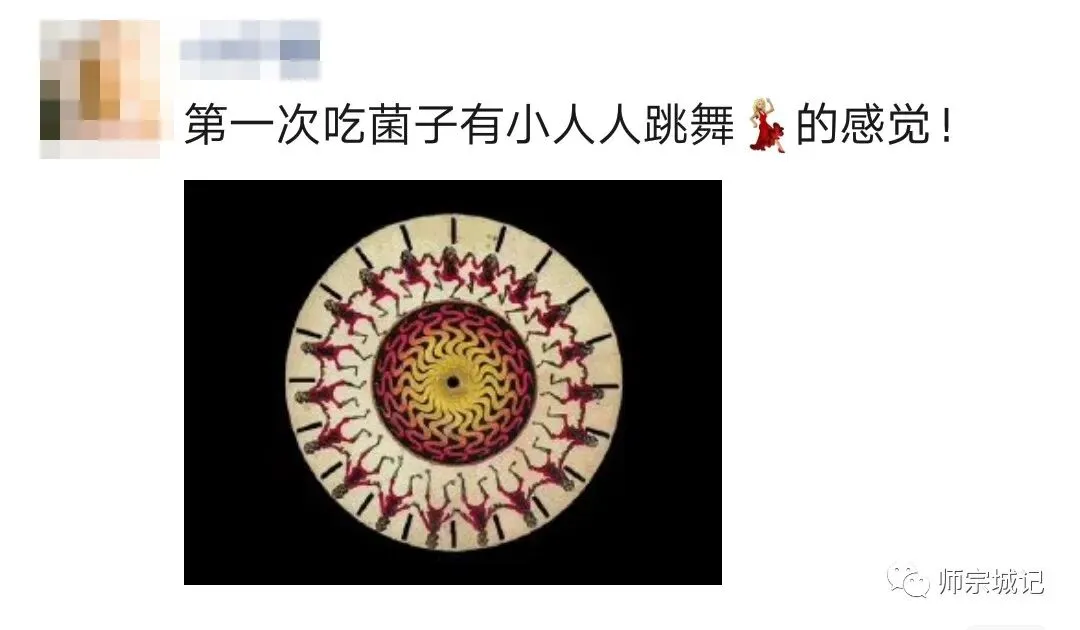 师宗市场上这12种菌,你吃过几种?