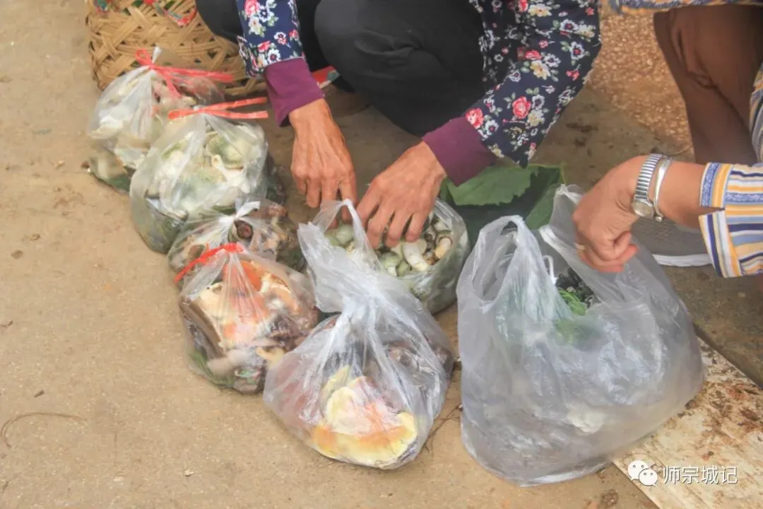 师宗市场上这12种菌,你吃过几种?