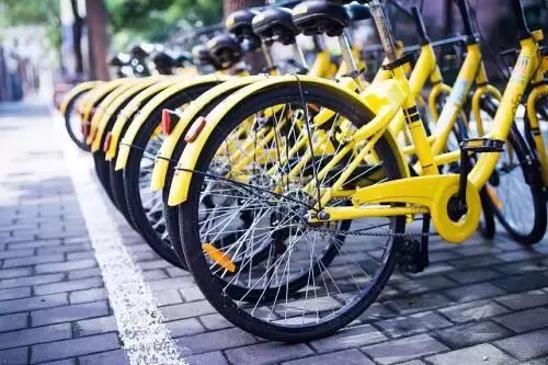 ofo:成也营销,败也营销