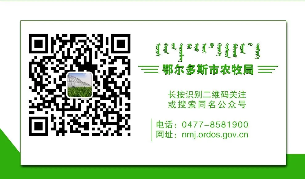 自治区种子市场督查组到鄂尔多斯市开展春季农作物种子市场专项督导检查工作