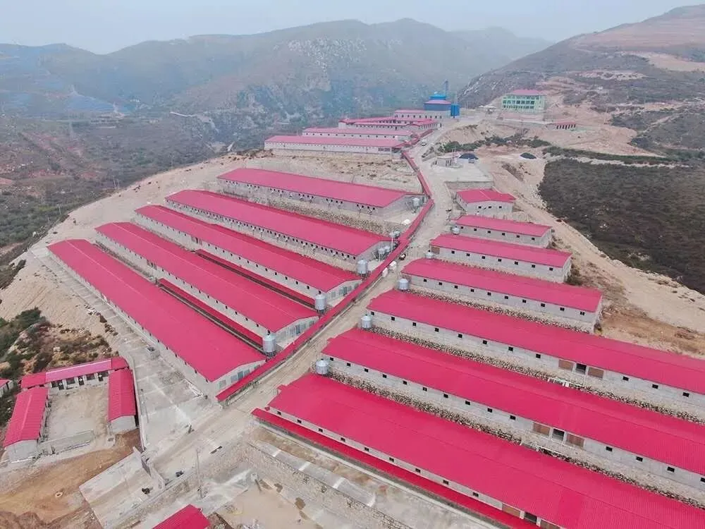 (初中各科老师|粮油销售|A2 司机|驻地业务员招聘)唐县招聘(3月30日)唐县本地人才招聘信息!