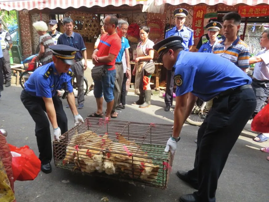 西南大市场这些档都被查了,什么情况?戳→