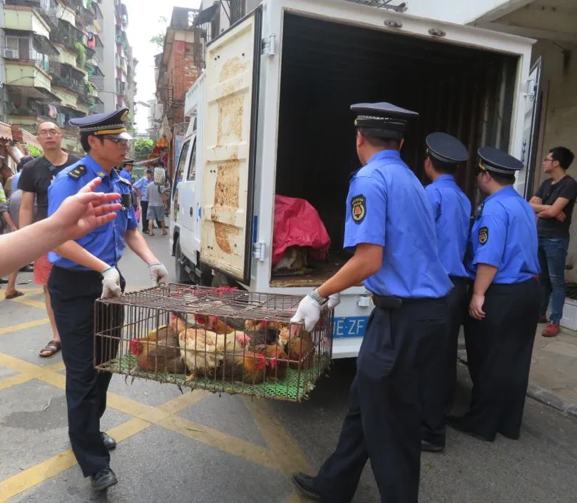 西南大市场这些档都被查了,什么情况?戳→