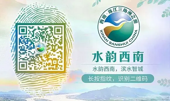 西南大市场这些档都被查了,什么情况?戳→