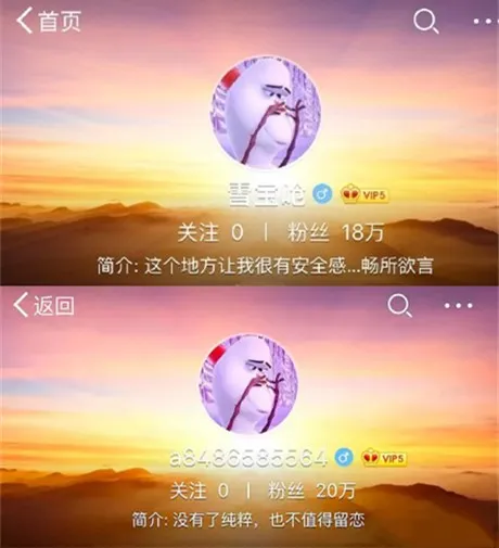 明星的“小号”,人设营销的新工具