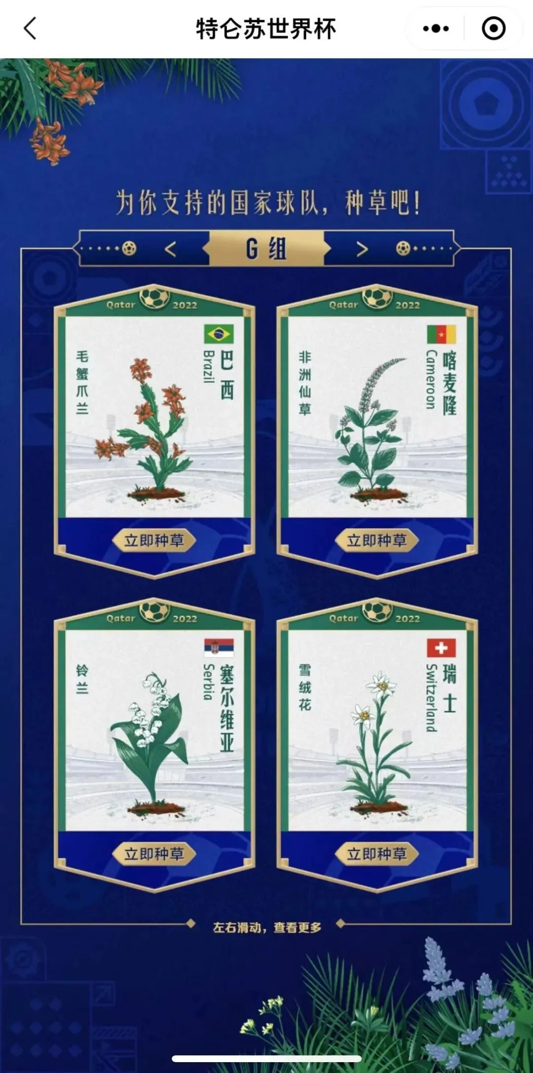 世界杯营销,谁说“热血”才是唯一答案?