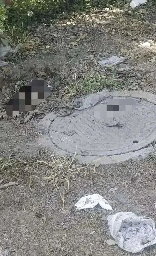 太恶心了!盐城富民市场对面绿化带变“露天厕所”好几年