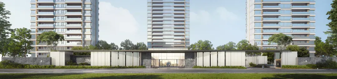 大涨!金茂又一次引爆市场!