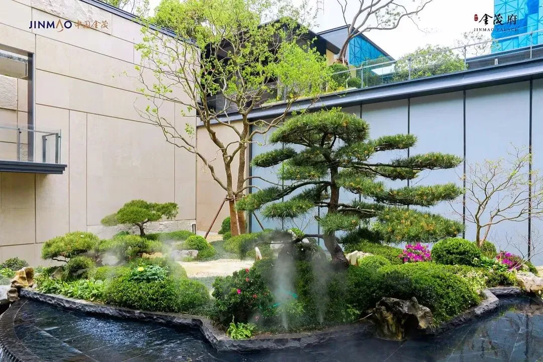 大涨!金茂又一次引爆市场!