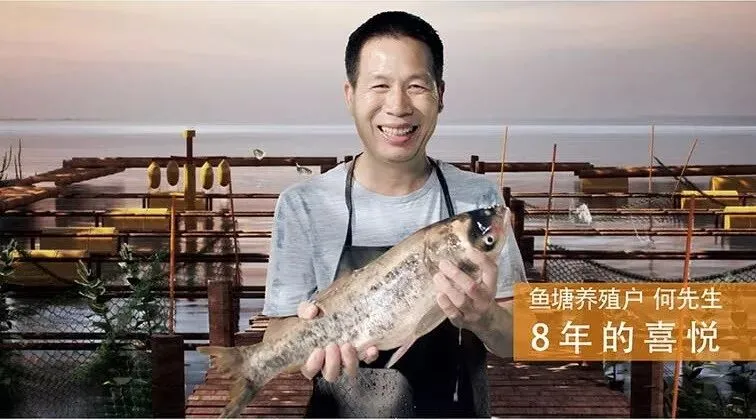 最真实的情感营销不是喊口号这么简单!