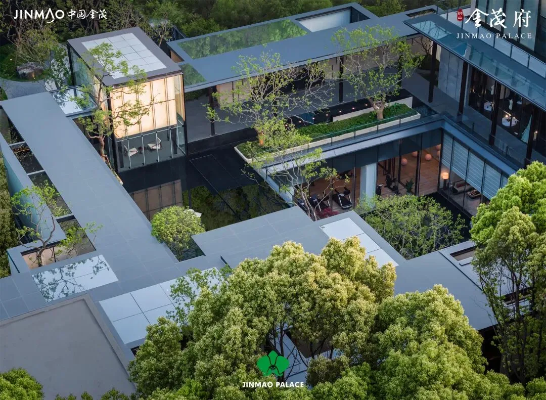 大涨!金茂又一次引爆市场!