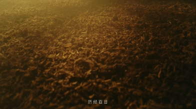 白酒营销元年,这条电影级TVC绝了!