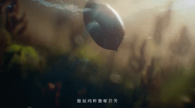 白酒营销元年,这条电影级TVC绝了!