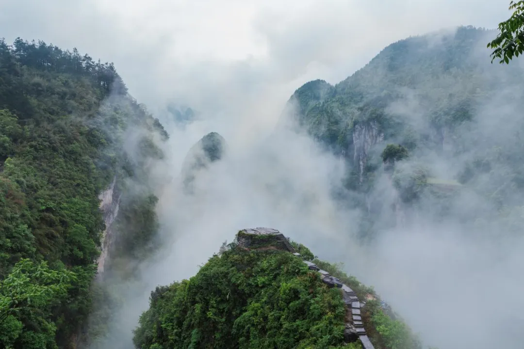 白酒营销元年,这条电影级TVC绝了!