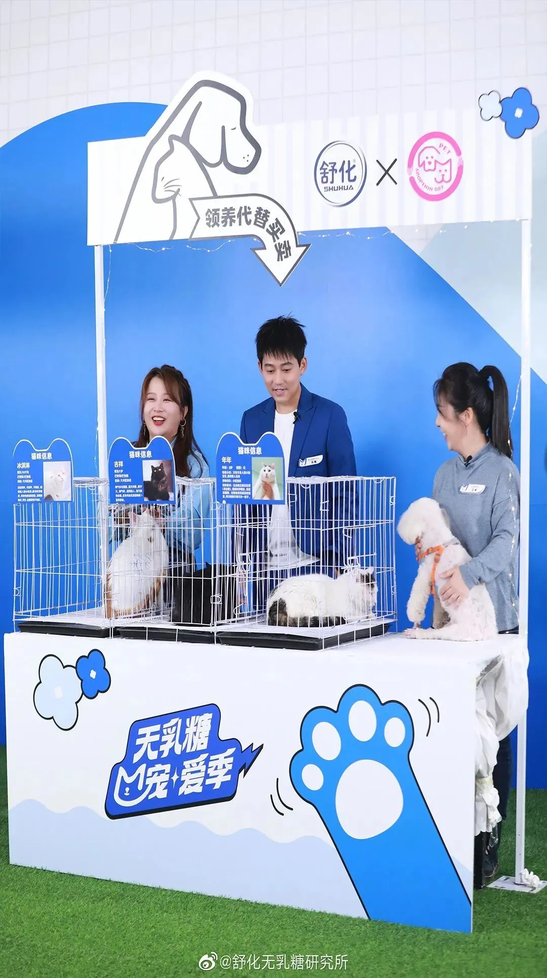 扎堆做“春日营销”,为什么只有伊利让人上头?