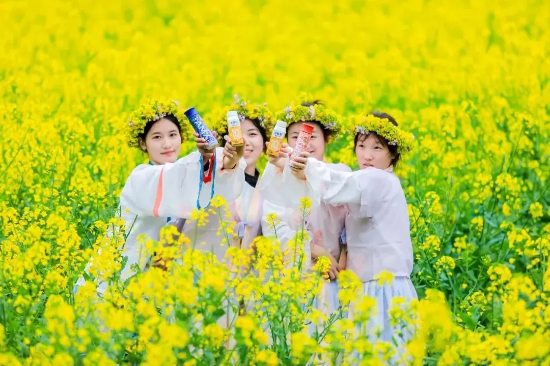 扎堆做“春日营销”,为什么只有伊利让人上头?