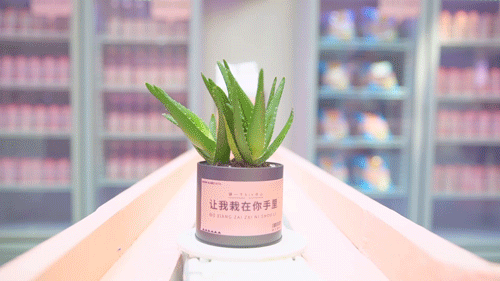 围观聚划算“认同式”营销,又准又狠!