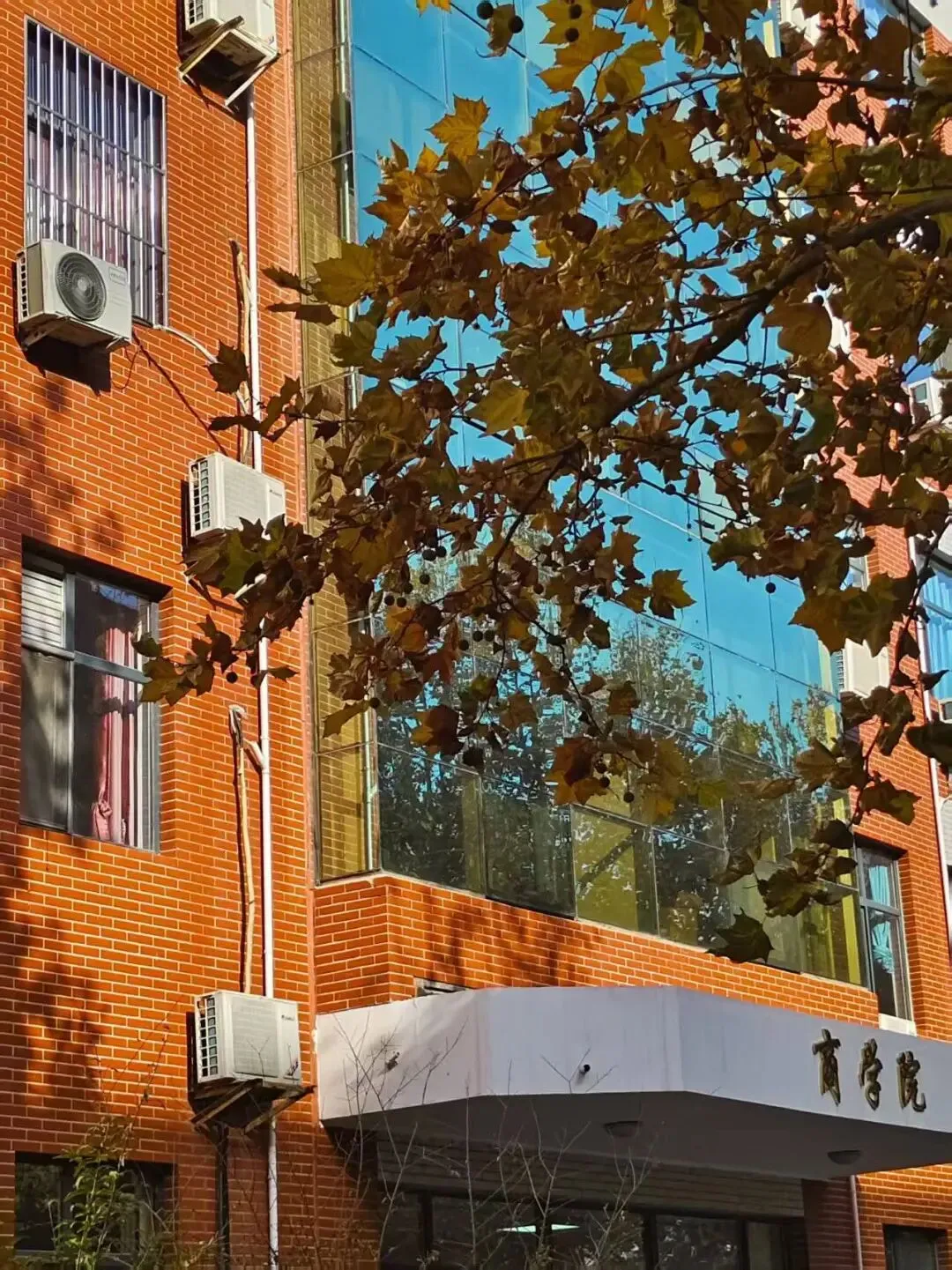 商学院——市场营销专业解读