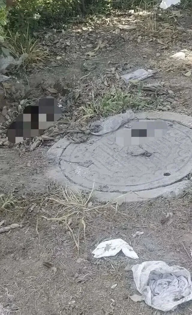 太恶心了!富民市场对面绿化带变“露天厕所”好几年