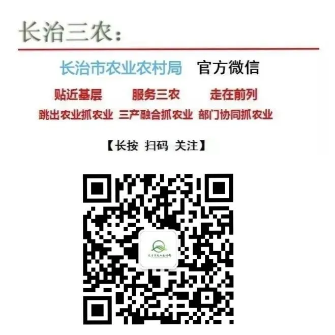 市场价格丨长治紫坊农产品市场2026年3月30日农产品参考价格