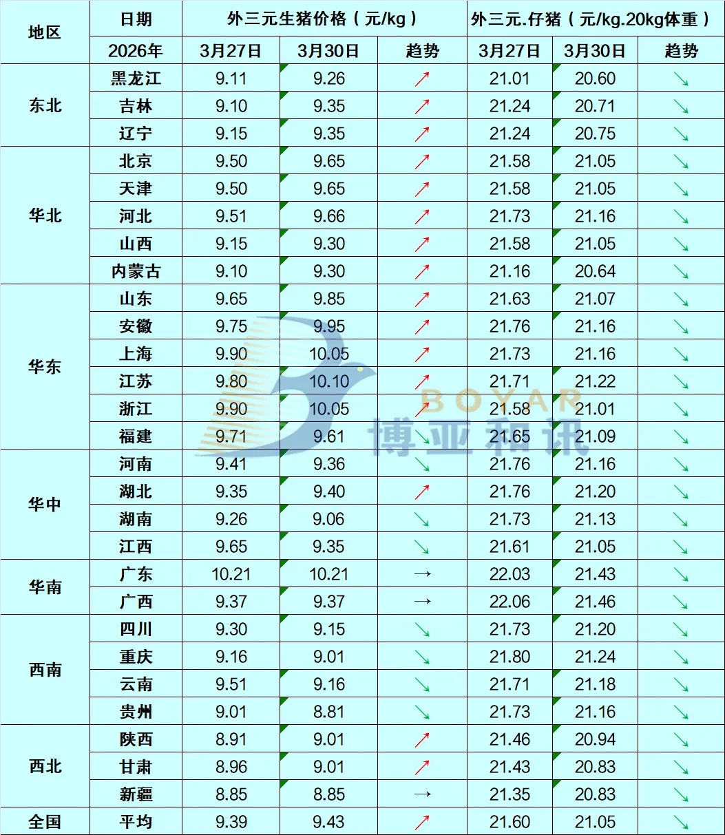 【BOYAR监测】生猪市场每日简评【3.30】