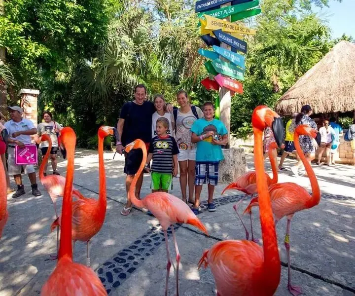 营销日历|四月营销日历新鲜出炉!快来获得更多营销灵感吧!