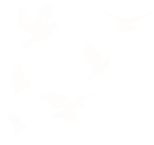 跃升发展年 | 龙泽园街道召开市场周边重点社区创城调度会