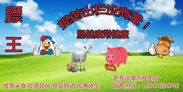 2026年3月30日宁城县农畜产品市场行情快讯