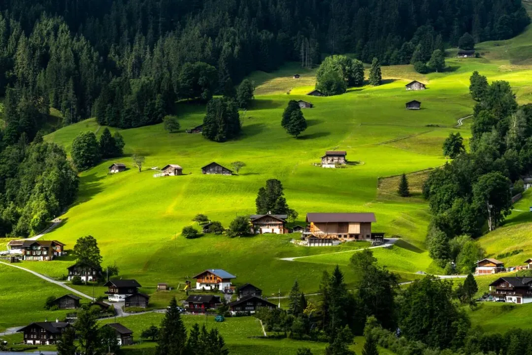 文旅商业市场洗牌加速,资产重组与夜经济发展新趋势