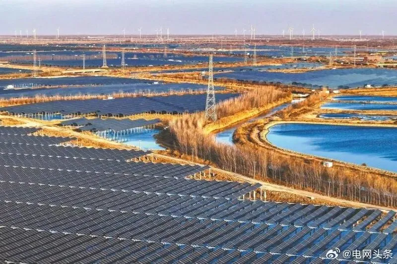 电力市场设计理论与运营实践(二)|市场设计基础