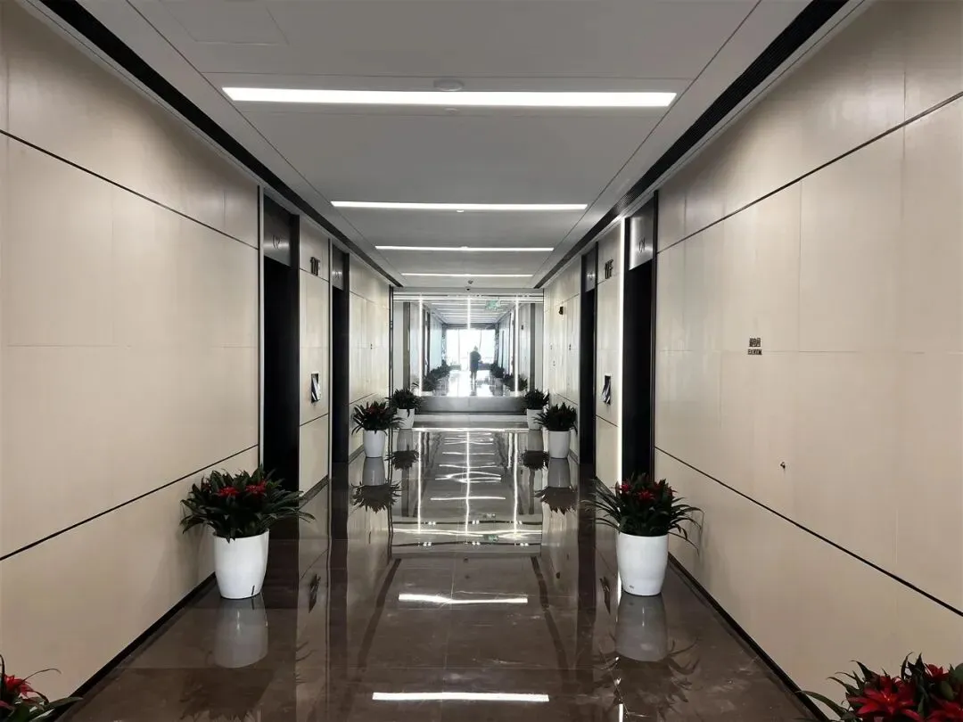 萧山办公室中的天花板,终究没能抗住市场的重压