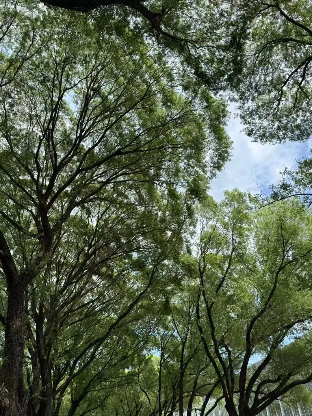 小刘的电力市场设计入门