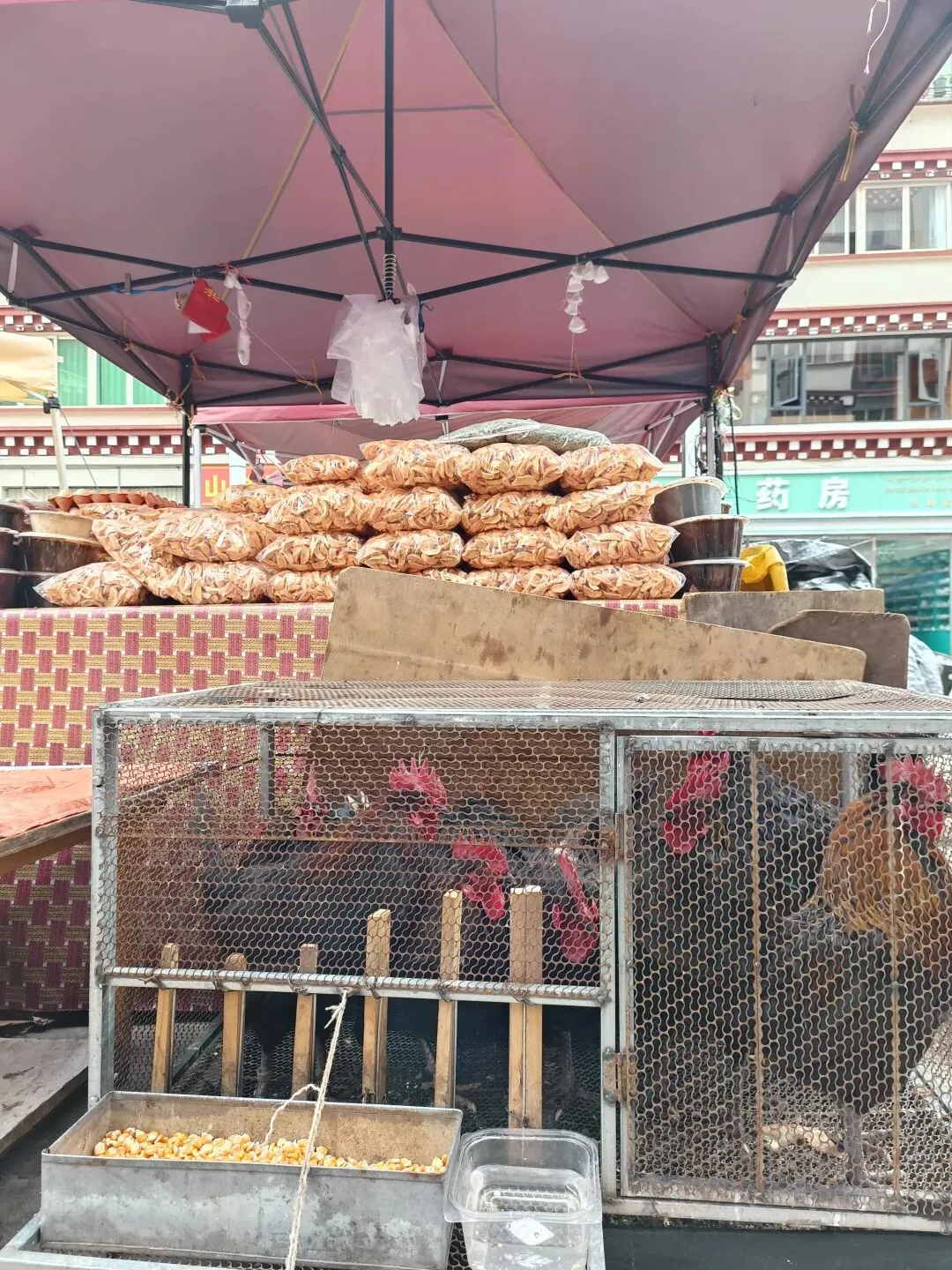 这里是乡城·农贸市场