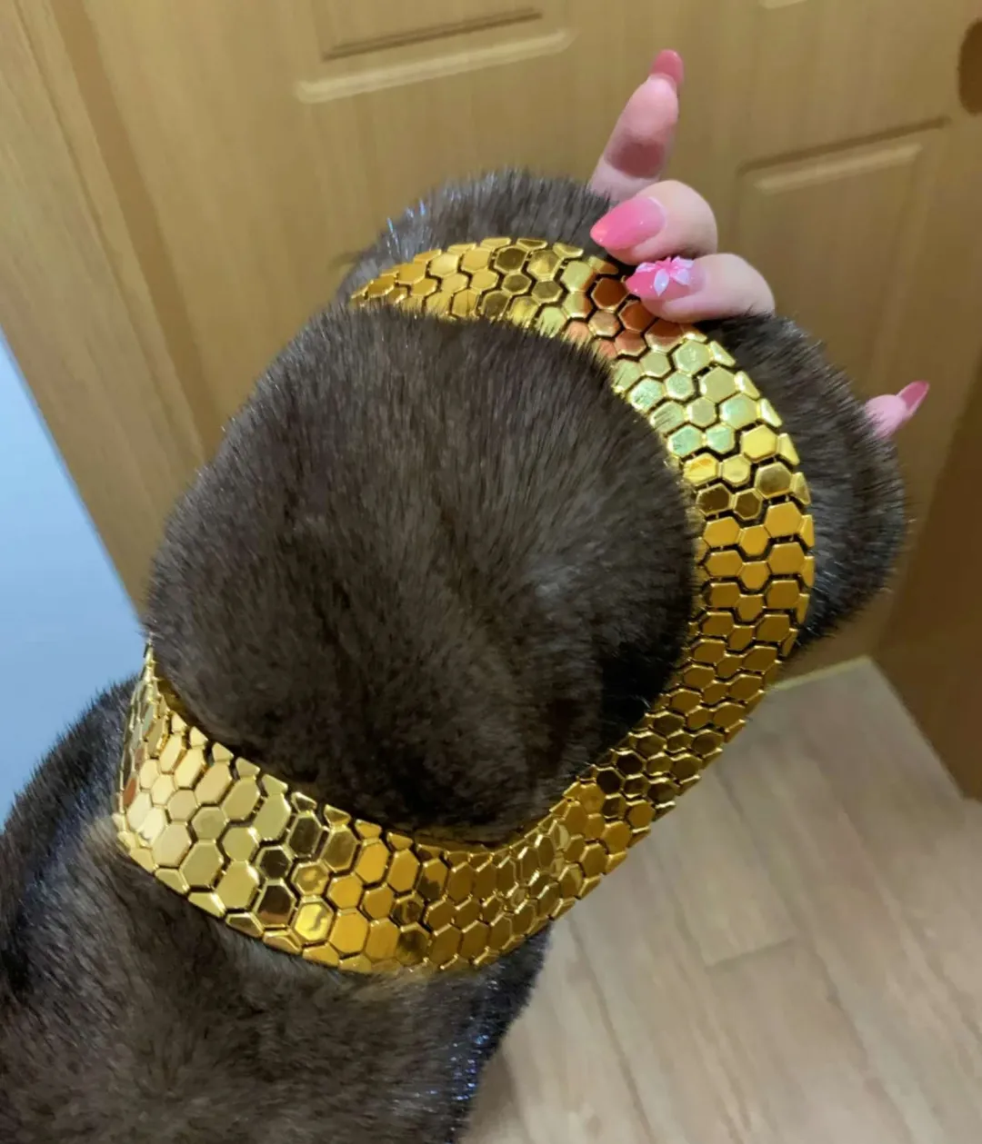 我在古玩市场花五千买的金链子,专家说值五十万