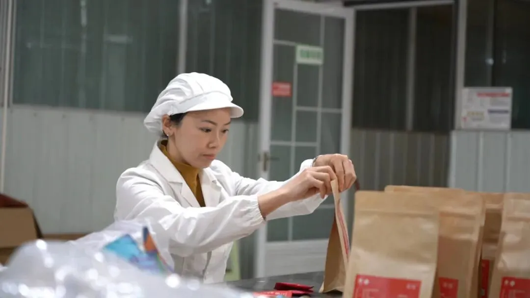 丹寨:指尖争春采茶忙 茶企赶单供市场