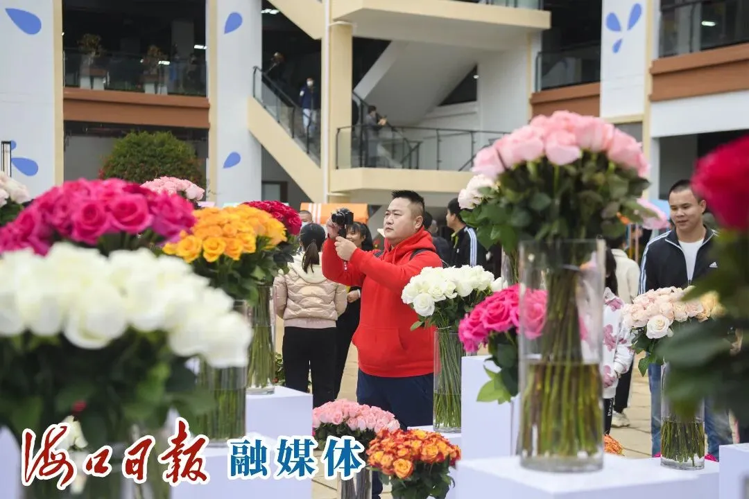 海南热带花卉交易(拍卖)市场电商运营平台今年销售额力争达到10亿元