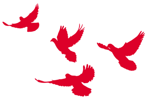 面对市场风云,他们如何应变?