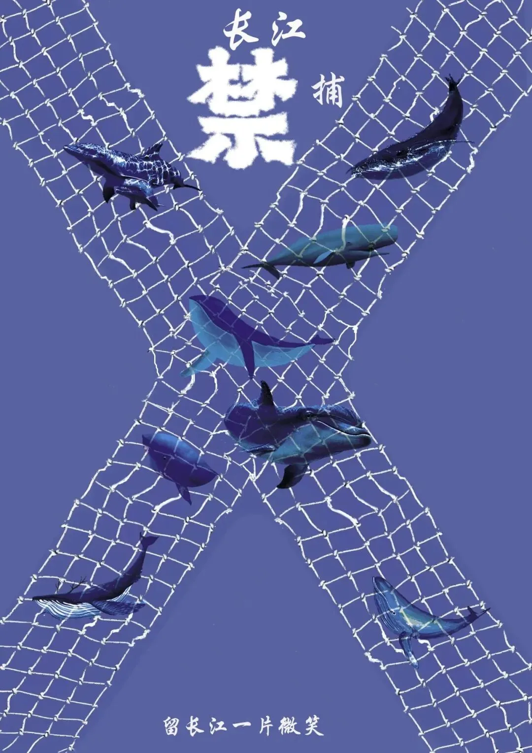 市场监管领域优秀公益广告展播来啦!