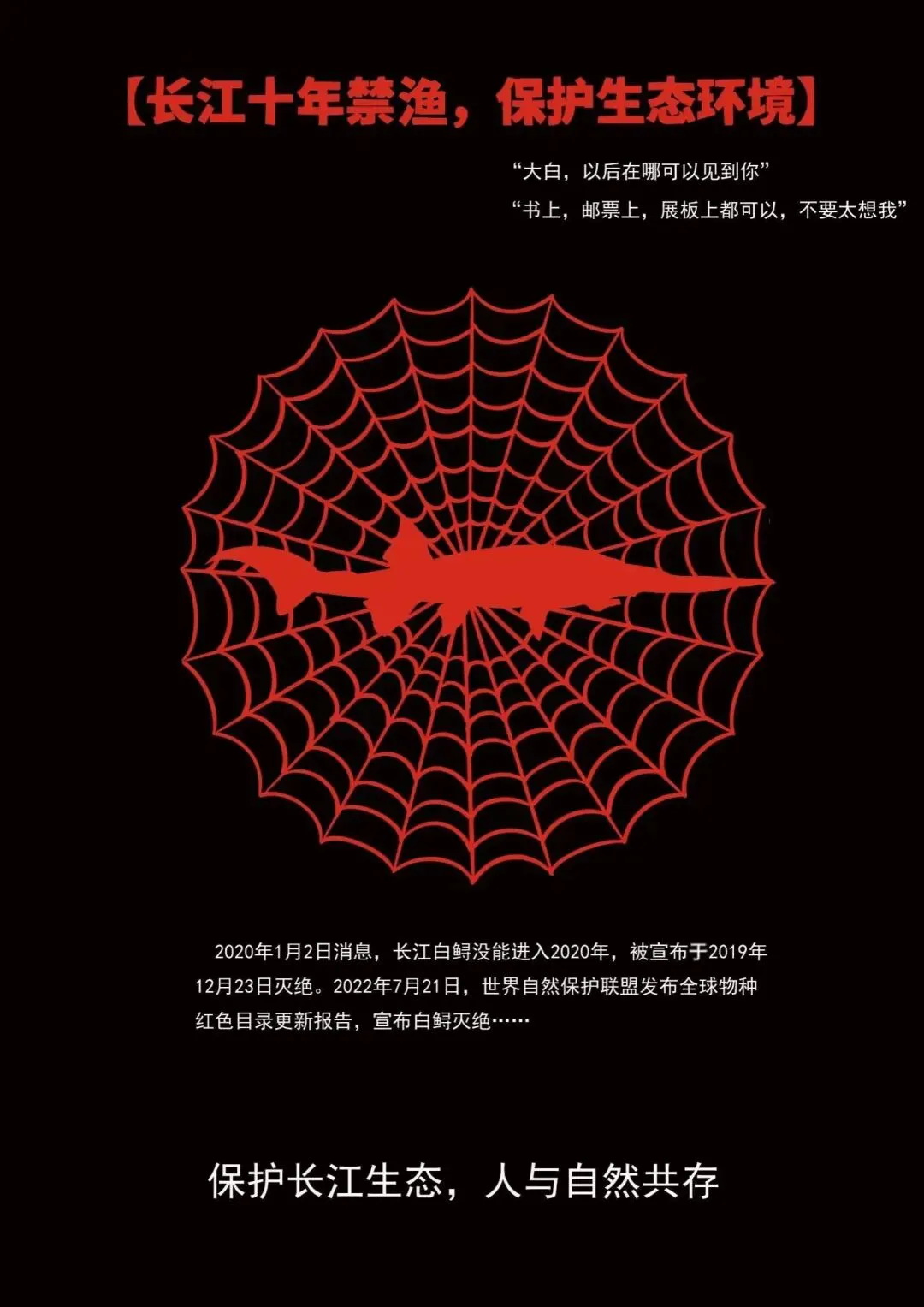 市场监管领域优秀公益广告展播来啦!