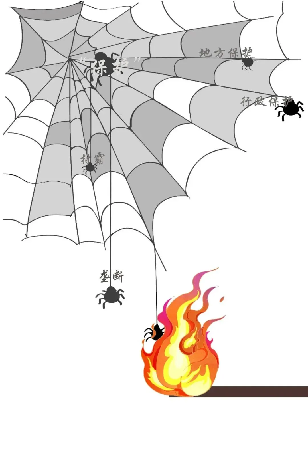 市场监管领域优秀公益广告展播来啦!