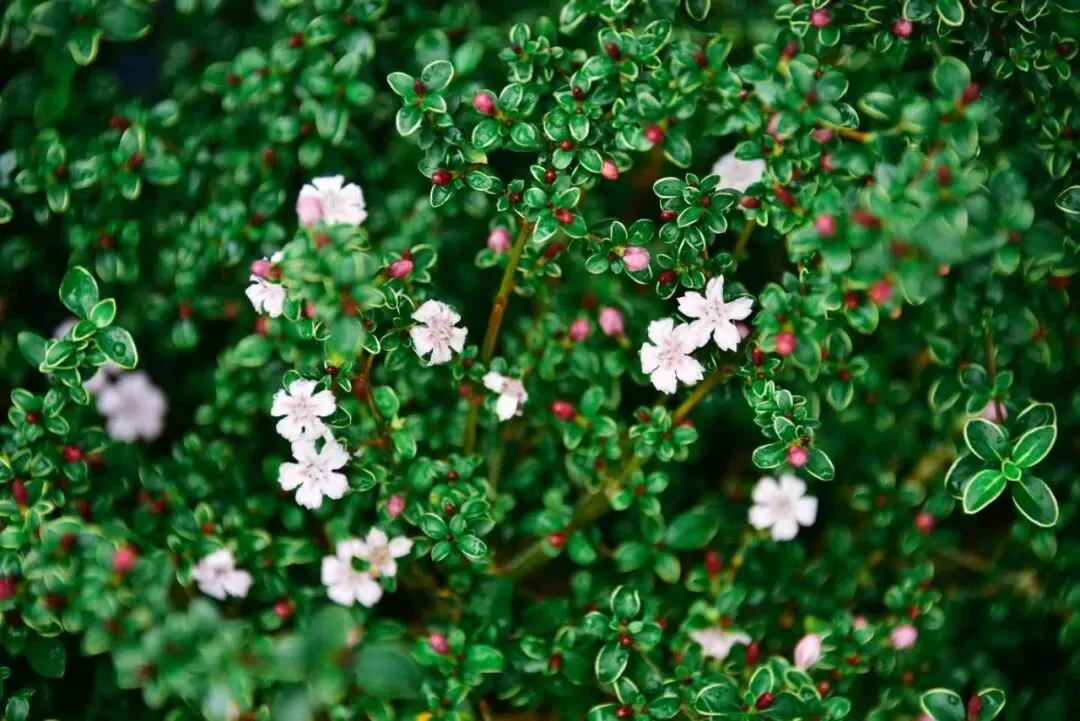 大多数回撤,其实不是市场给的