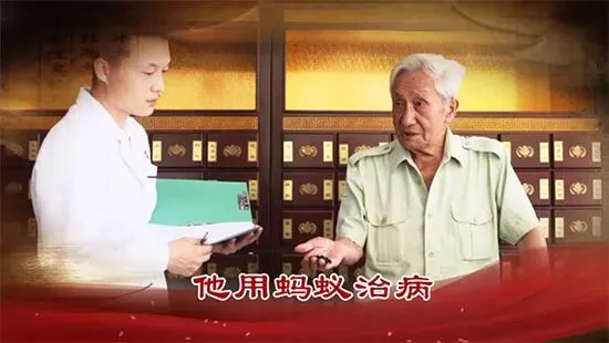 【苗三尺十三膏】黄金爆品,严格市场保护,诚招代理商!